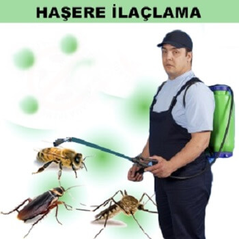 Piraziz Böcek İlaçlama
